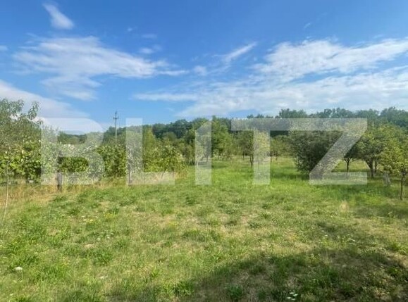 Teren de vânzare Tautii de Sus - 202625TV | BLITZ Baia Mare | Poza1