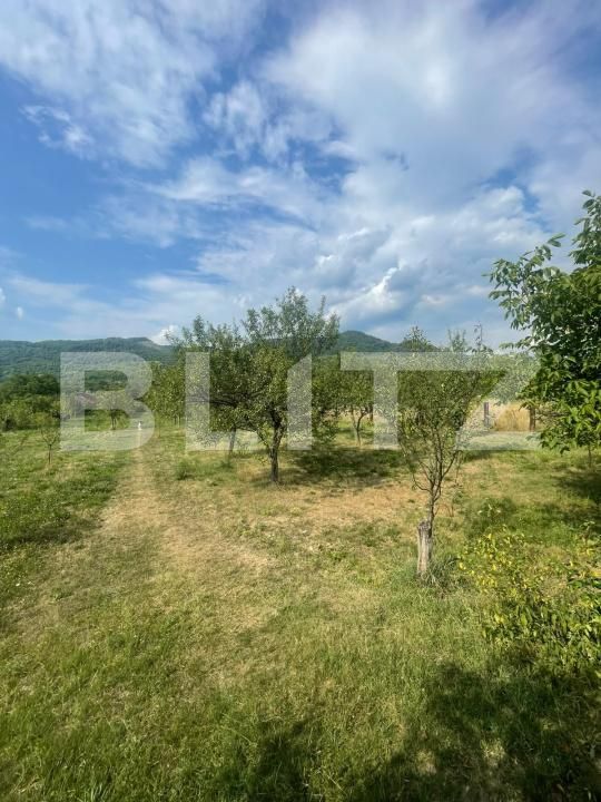 Teren de vânzare Tautii de Sus - 202625TV | BLITZ Baia Mare | Poza3