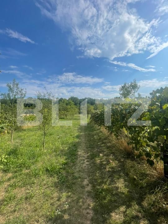 Teren de vânzare Tautii de Sus - 202625TV | BLITZ Baia Mare | Poza5