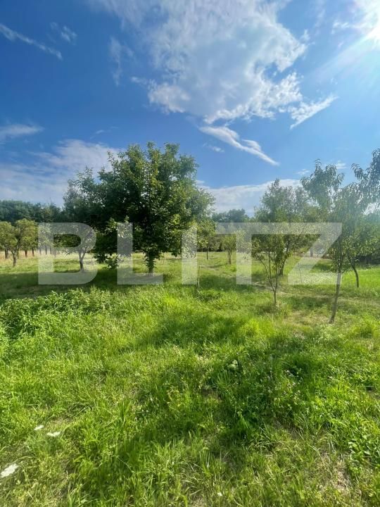 Teren de vânzare Tautii de Sus - 202625TV | BLITZ Baia Mare | Poza4