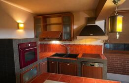 Casă P+1, 240 mp, teren 1.084 mp, 2 garaje, zona Tăuții Măgherăuș