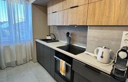Apartament 2 camere, 44 mp, zona Central