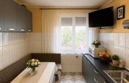 Apartament 2 camere, 49 mp, zonă Baia Sprie