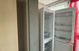 Garsonieră de închiriat, 28 mp, Bulevardul Republicii - Liana 