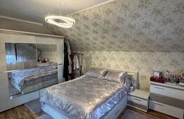 Casă 3 dormitoare, 157 mp, str. Emil Racoviță