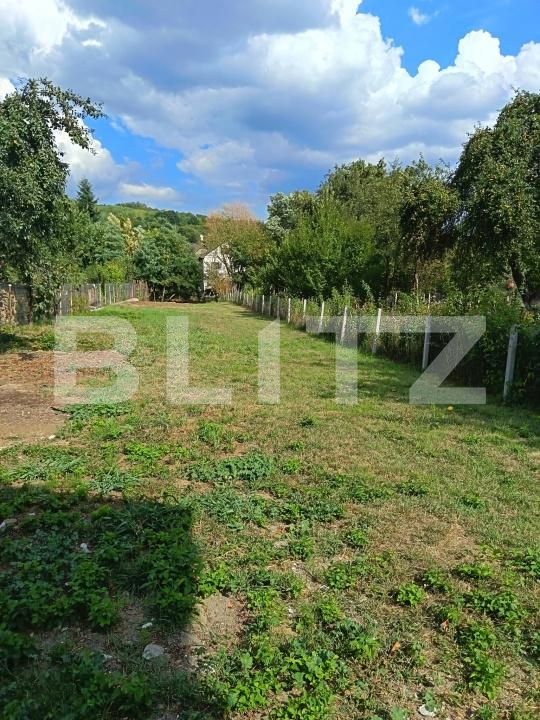 Casa de vânzare 4 camere Valea Borcutului - 204146CV | BLITZ Baia Mare | Poza5