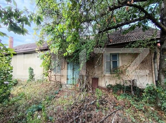 Casa de vânzare 5 camere Orasul Vechi - 204165CV | BLITZ Baia Mare | Poza16