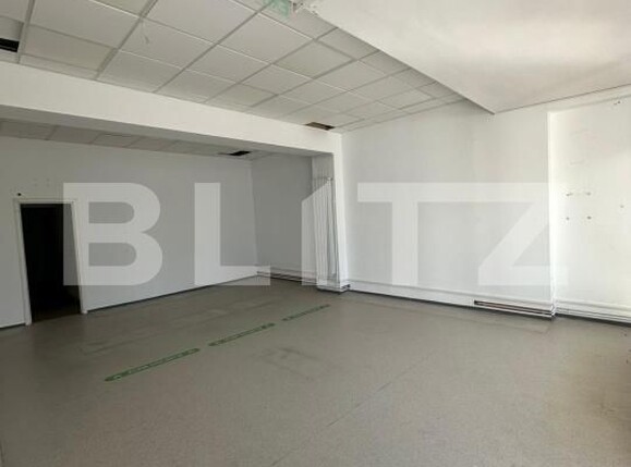 Spațiu comercial de închiriat Sasar - 204174SIC | BLITZ Baia Mare | Poza1