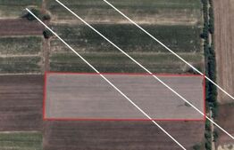 🌳 Teren intravilan 2 – 45 ari – Strada Sebeșului | 25 m lățime