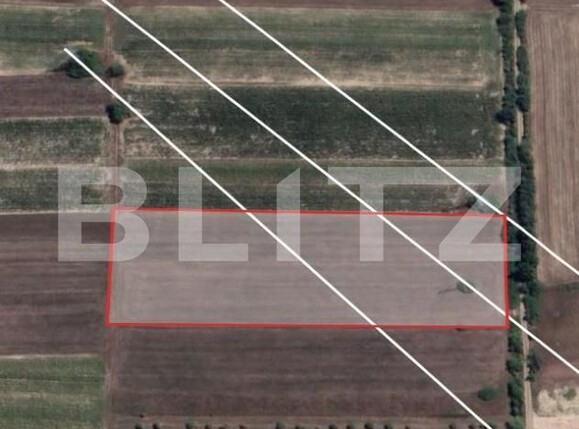Teren de vânzare Sud - 204228TV | BLITZ Baia Mare | Poza2