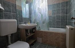 Apartament cu 3 camere, 74 mp, zona Central