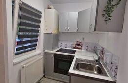 Garsoniera de inchiriat, 35 mp, zona Republicii