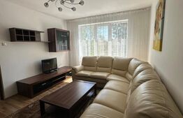 Apartament 2 camere, 50 mp, Bd. Independenței – zona RFN 