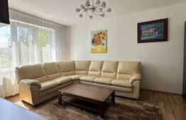 Apartament 2 camere, 50 mp, Bd. Independenței – zona RFN 