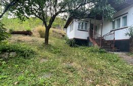 Casa de vanzare, 80 mp, zona Firiza