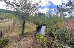 Casa de vanzare, 80 mp, zona Firiza
