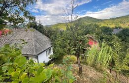 Casa de vanzare, 80 mp, zona Firiza