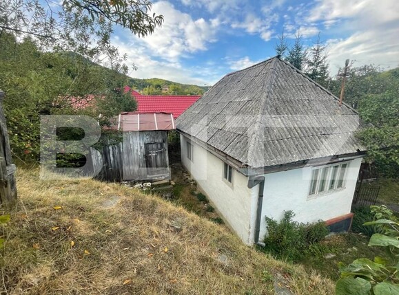 Casa de vânzare 2 camere Firiza - 204747CV | BLITZ Baia Mare | Poza3