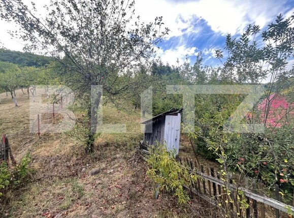 Casa de vânzare 2 camere Firiza - 204747CV | BLITZ Baia Mare | Poza16