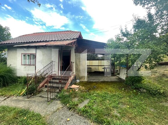 Casa de vânzare 2 camere Firiza - 204747CV | BLITZ Baia Mare | Poza12