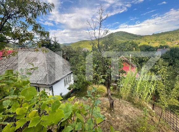 Casa de vânzare 2 camere Firiza - 204747CV | BLITZ Baia Mare | Poza17