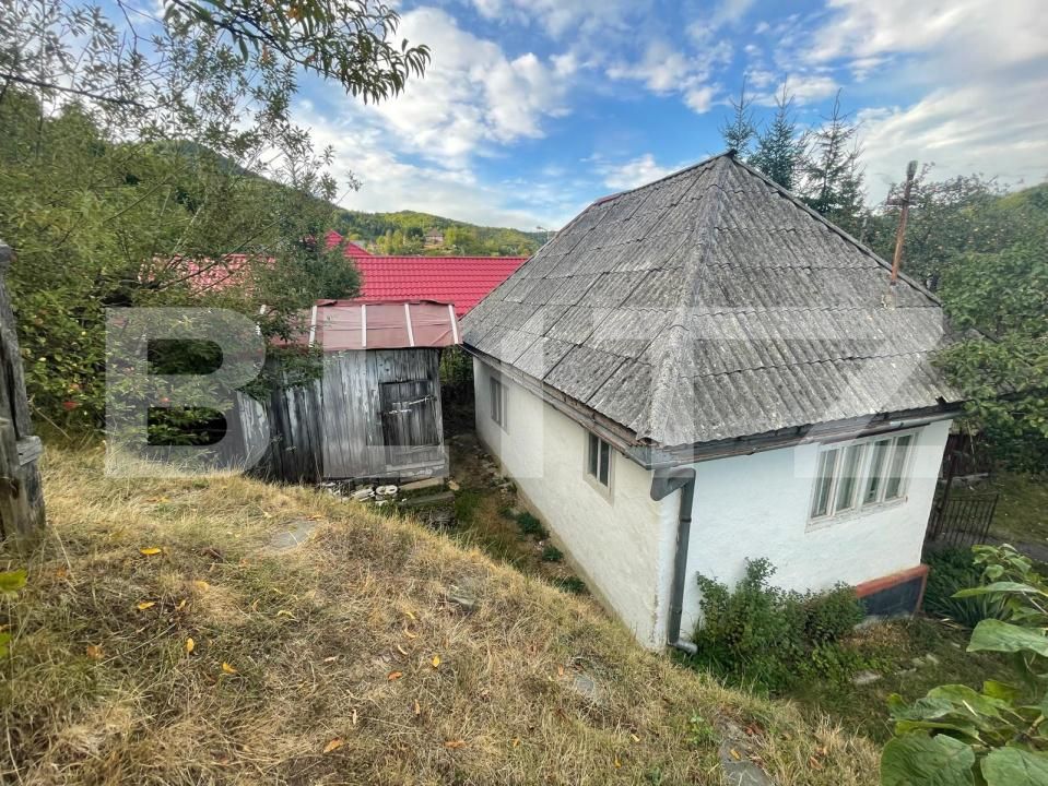 Casa de vânzare 2 camere Firiza - 204747CV | BLITZ Baia Mare | Poza3