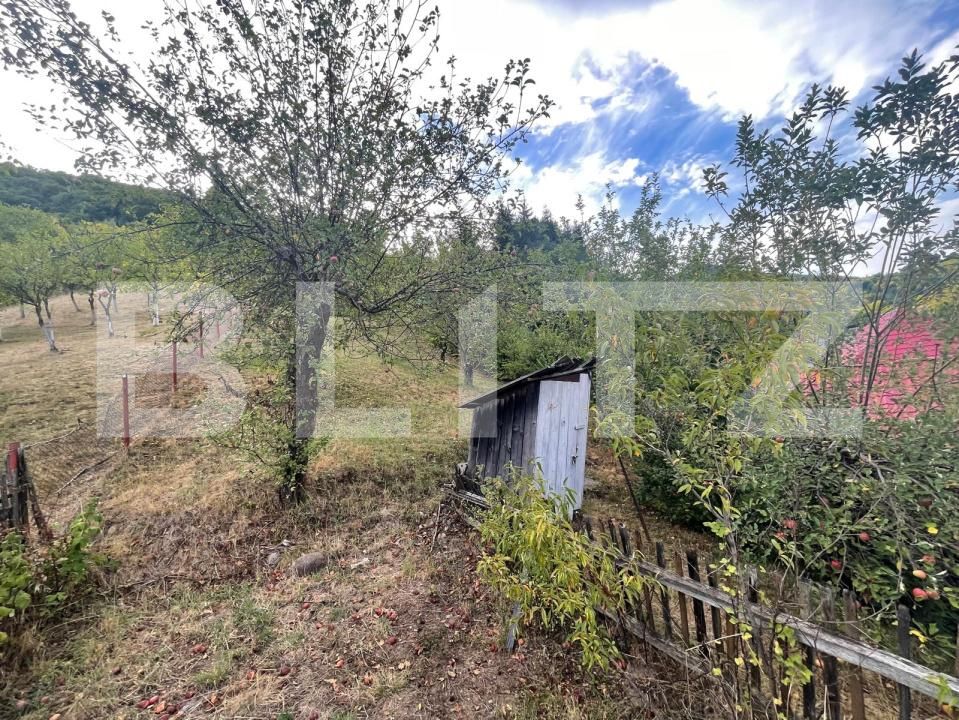 Casa de vânzare 2 camere Firiza - 204747CV | BLITZ Baia Mare | Poza16