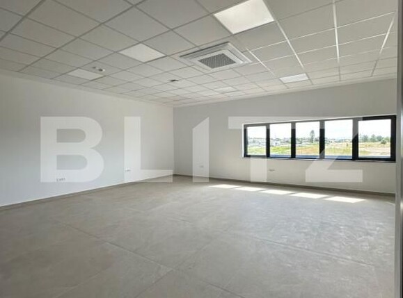 Spațiu industrial de închiriat Exterior Vest - 205139SII | BLITZ Baia Mare | Poza13