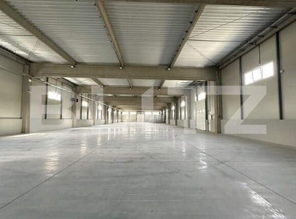 Spațiu industrial de închiriat Exterior Vest - 205139SII | BLITZ Baia Mare | Poza10