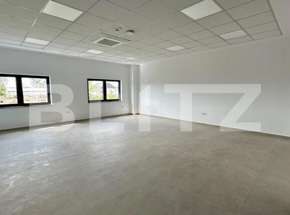 Spațiu industrial de închiriat Exterior Vest - 205139SII | BLITZ Baia Mare | Poza11