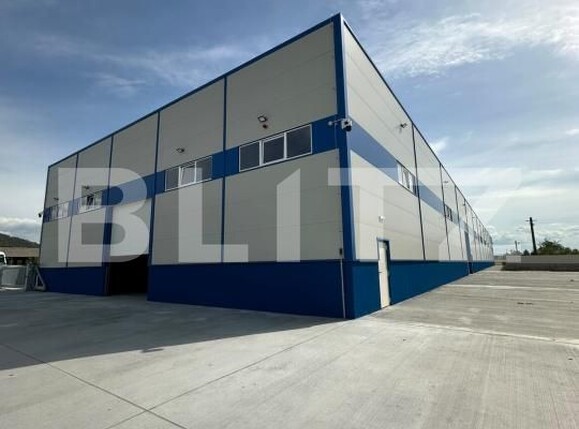 Spațiu industrial de închiriat Exterior Vest - 205139SII | BLITZ Baia Mare | Poza5