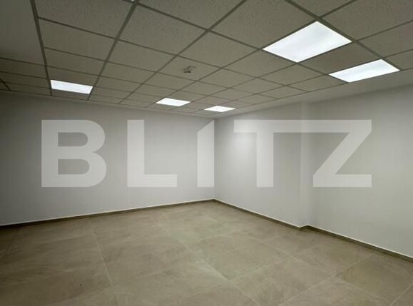 Spațiu industrial de închiriat Exterior Vest - 205139SII | BLITZ Baia Mare | Poza15