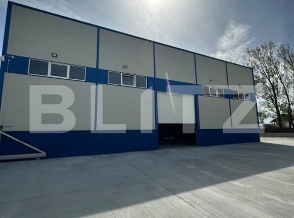 Spațiu industrial de închiriat Exterior Vest - 205139SII | BLITZ Baia Mare | Poza7