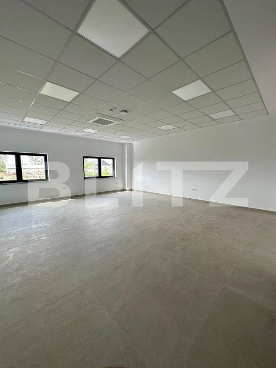 Spațiu industrial de închiriat Exterior Vest - 205139SII | BLITZ Baia Mare | Poza11