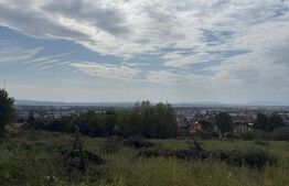 Teren intravilan, 10 ari, Str. Miron Costin