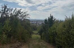 Teren intravilan, 10 ari, Str. Miron Costin