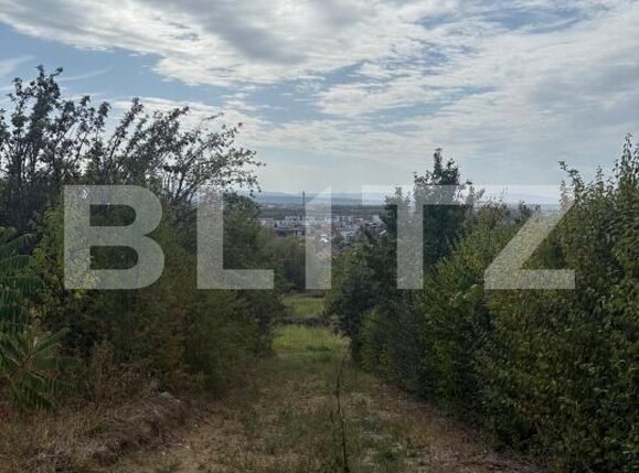 Teren de vânzare Sasar - 205288TV | BLITZ Baia Mare | Poza4