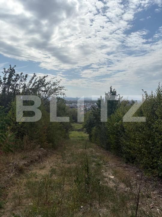 Teren de vânzare Sasar - 205288TV | BLITZ Baia Mare | Poza4