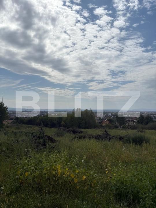 Teren de vânzare Sasar - 205288TV | BLITZ Baia Mare | Poza3