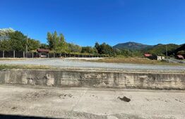 Spațiu industrial de vânzare Ferneziu, Baia Mare