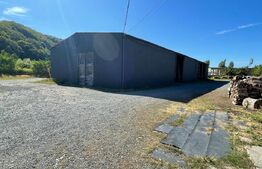 Platforma industriala, 17.000 mp, zona Ferneziu 