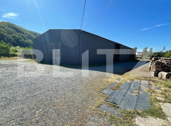 Spațiu industrial de vânzare Ferneziu - 205527SVI | BLITZ Baia Mare | Poza5