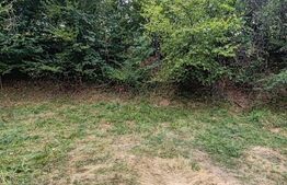 Teren de vanzare, 637 mp, zona Ulmoasa