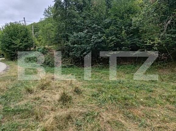 Teren de vânzare Ulmoasa - 205619TV | BLITZ Baia Mare | Poza1