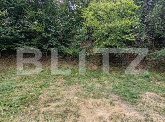 Teren de vânzare Ulmoasa - 205619TV | BLITZ Baia Mare | Poza2