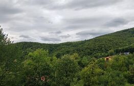 Teren de vânzare Ulmoasa, Baia Mare