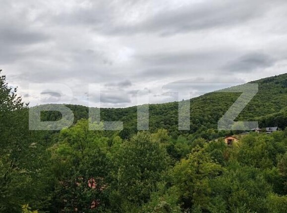 Teren de vânzare Ulmoasa - 205641TV | BLITZ Baia Mare | Poza1