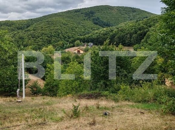 Teren de vânzare Ulmoasa - 205641TV | BLITZ Baia Mare | Poza3