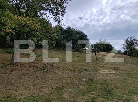Teren de vânzare Ulmoasa - 205641TV | BLITZ Baia Mare | Poza2