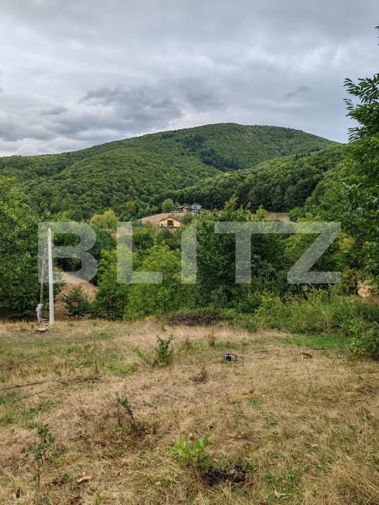 Teren de vânzare Ulmoasa - 205641TV | BLITZ Baia Mare | Poza3